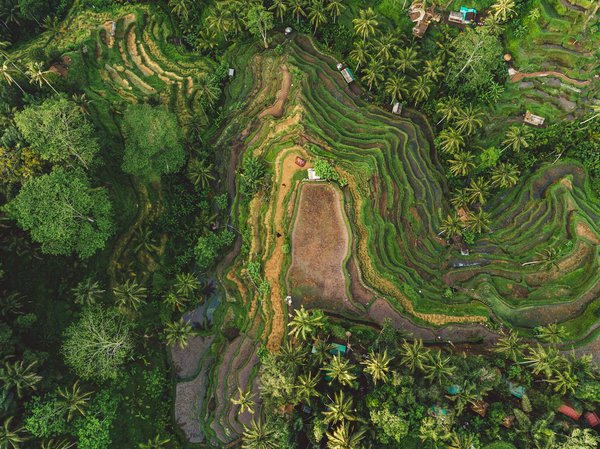 Quels sont les meilleurs endroits pour une retraite de bien-être en Bali?