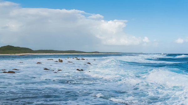 Comment trouver des locations de vacances dans des châteaux en France avec des ateliers de cuisine?